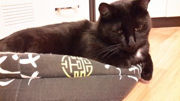 Любимая плюшка