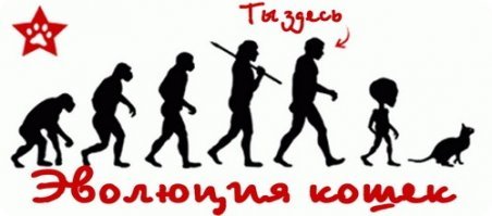 Как бы мы не старались, мы не сможем уйти от своей судьбы, если она уже что-то задумала