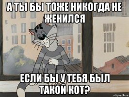 Коты трудоголики