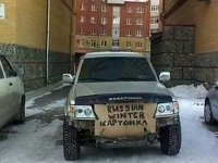 Автовсячина