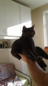 и мы одну подобрали с улицы