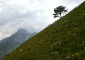 Как делать красивые фото в путешествии?