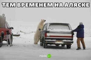 ну от поясните же с какого перепуга пишется в украине и на аляске ))) хохлопост наверное)