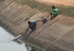 Глядя на эти фотографии, вы поймете, что жизнь прекрасна!