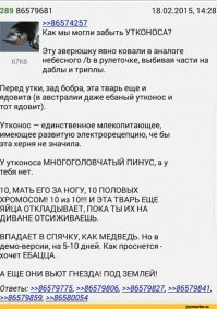 Утконос