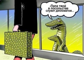 Когда выбрал не ту профессию