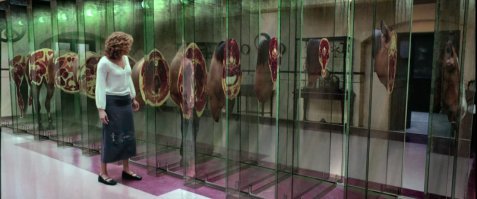 Киноверсия лошади в разрезах