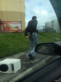 12 странных и забавных снимков для поднятия настроения