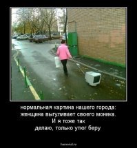 12 странных и забавных снимков для поднятия настроения