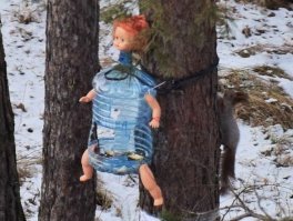 Ко мне каждое утро приходит белочка . :-) 
(фото моё)