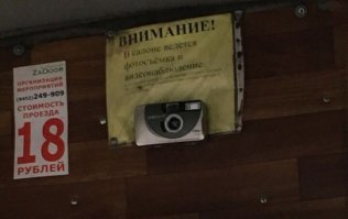 оболтусы,блин