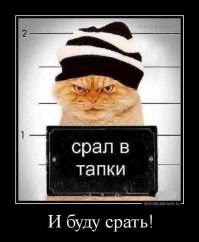 30 способов использования котов в хозяйстве