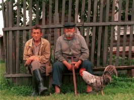 Я только одну историю уважительного отношения к профессионалам знаю.
Поехал один художник на пленэр (это когда пишут природу с натуры ;-)  ). Художник вдохновенно писАл на лоне природы, а мимо шли два "аборигена". Взрослый и не очень взрослый. Шли, ни кого не трогали. Но увидев художника застыли как зачарованные.
Через несколько минут удивлённого созерцания тот что помладше сообщил тому что постарше: "Ишь-ишь как мужик щоточкой наябыват!!!"