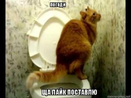 Британец узнал об измене девушки из рекламы реалити-шоу