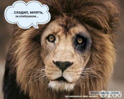 Храбрая слониха защитила своего детеныша от голодного льва