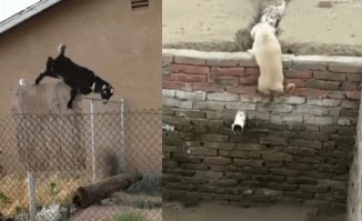 Это сладкое слово  - свобода!