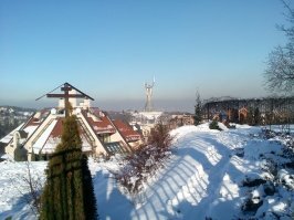 На днях была в Киеве, сфоткала местную родину-мать из ботанического сада.