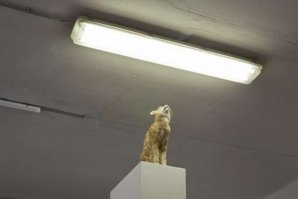 Как я встречалась с женатиком. Оправдания и ещё раз оправдания