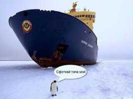 Огромный атомный ледокол «Таймыр» прошел в нескольких метрах от группы путешественников 