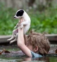 Всё началось с того, что на нашей помойке поселился бродячий пёс