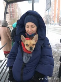 Подборка автомобильных приколов