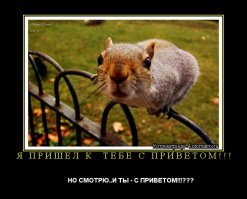 Женские шизы и явные невменозы!