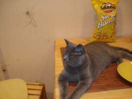 Мой такую хрень не ест))  ..да и мы тоже.