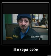 найти и посадить!