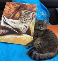 Картинки с надписями для настроения