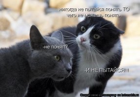 Женские шизы и явные невменозы!