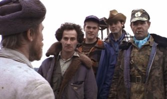 Безбашенная бурёнка взяла судьбу в свои копыта и сбежала на волю