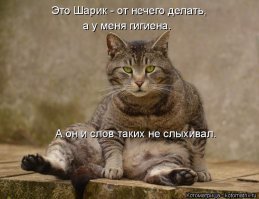 Как мы упоролись и откалибровали кофе-машину на спектрофотометре