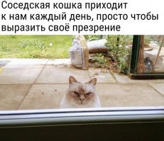 Картинки с надписями для настроения