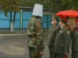 грибов не нашёл, в ресторане купил оливье
