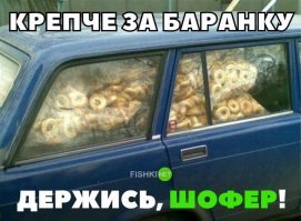 Крепче за шоферку держись, баран.