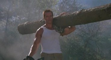 Вместо палки собака принесла хозяину кусок ствола дерева