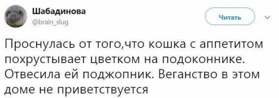 Бекон варено – копченый