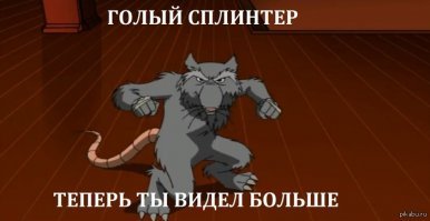 Эта крыска моется в душе совсем как человек