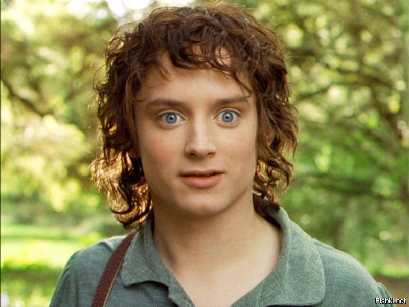 Фродо!? О_о