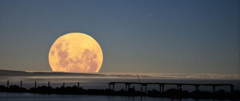 норм фото обьязательно