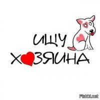  Парень помог собаке откопать засыпанных землей щенков 