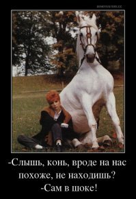 Опять скрипит потёртое седло!