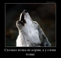 Фразы, вырванные из контекста и на самом деле означающие совсем другое