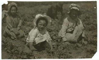 Июль 1915 года. На сборе урожая сахарной свеклы в возде Шугар-Сити, Колорадо: 6-летняя Мэри, 8-летняя Люси и 10-летняя Итан.