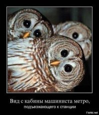 Когда я работал машинистом поезда метро, это был мой любимый розыгрыш