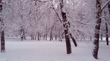 Фотоподборка за 31.01.2018