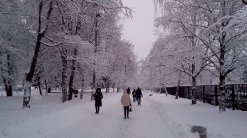 Фотоподборка за 31.01.2018