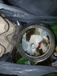 улыбчивая плесень