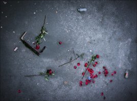 Хотелось собрать пост о любви, но получилась ерунда, потому что любви нет