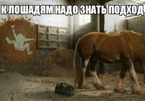 Опять скрипит потёртое седло!